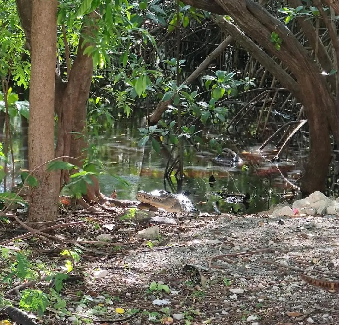 Acogedora Y Moderna Casa Coati Villa Cancún Mexiko